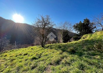 Terreno edificabile Via Valleregia, Serra Riccò - foto 12