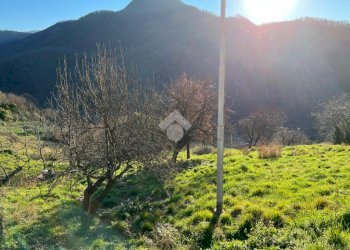 Terreno edificabile Via Valleregia, Serra Riccò - foto 14