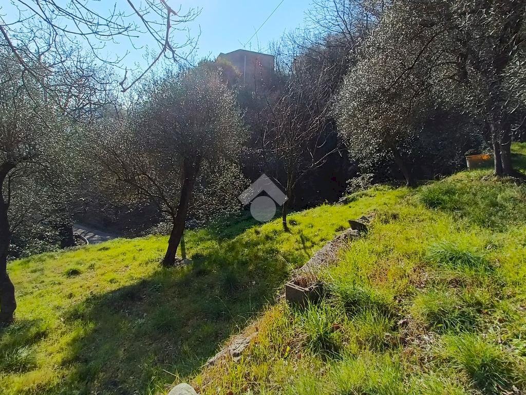 Terreno agricolo Terreno Via Valgelata, Finale Ligure - foto 1