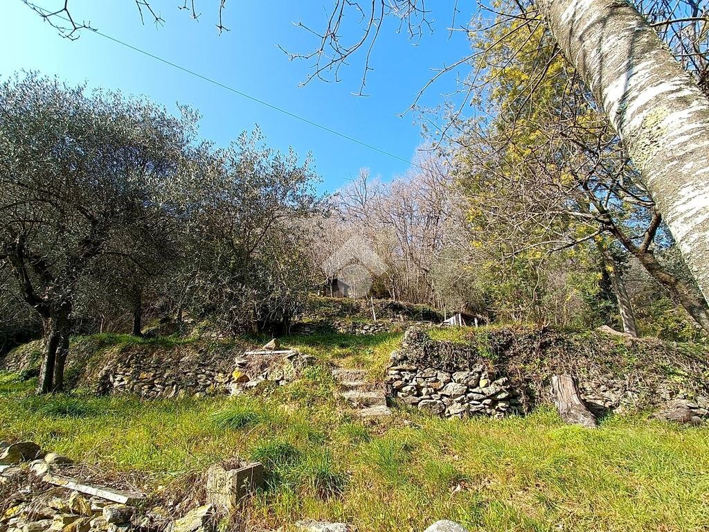 Terreno agricolo Terreno Via Valgelata, Finale Ligure - foto 2
