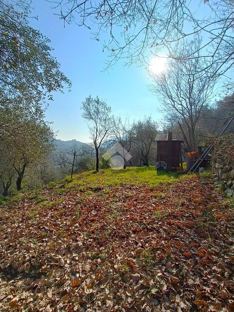 Terreno agricolo Terreno Via Valgelata, Finale Ligure - foto 3
