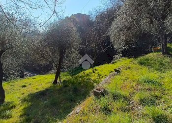 Terreno agricolo Terreno Via Valgelata, Finale Ligure - foto 1