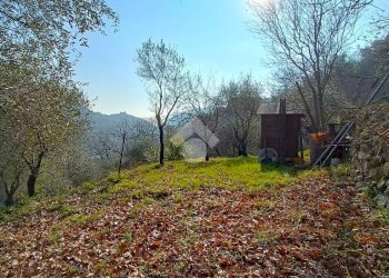 Terreno agricolo Terreno Via Valgelata, Finale Ligure - foto 3
