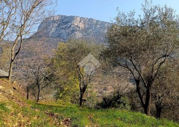 Terreno agricolo Terreno Via Valgelata, Finale Ligure - foto 4