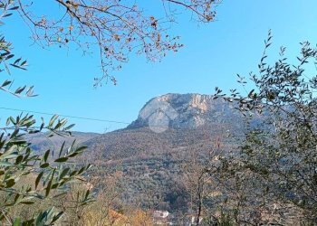 Terreno agricolo Terreno Via Valgelata, Finale Ligure - foto 5
