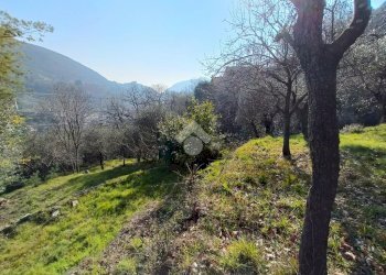 Terreno agricolo Terreno Via Valgelata, Finale Ligure - foto 6