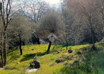 Terreno agricolo Terreno Via Valgelata, Finale Ligure - foto 7