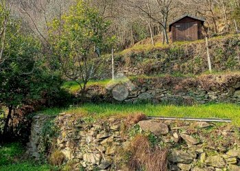 Terreno agricolo Terreno Via Valgelata, Finale Ligure - foto 8