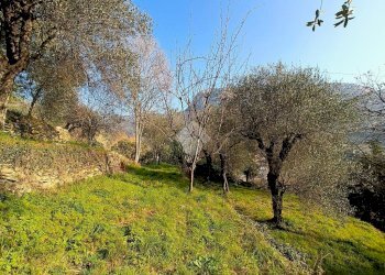 Terreno agricolo Terreno Via Valgelata, Finale Ligure - foto 10