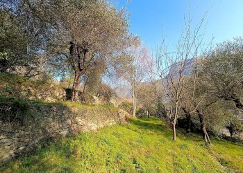 Terreno agricolo Terreno Via Valgelata, Finale Ligure - foto 11