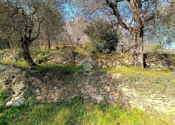 Terreno agricolo Terreno Via Valgelata, Finale Ligure - foto 12