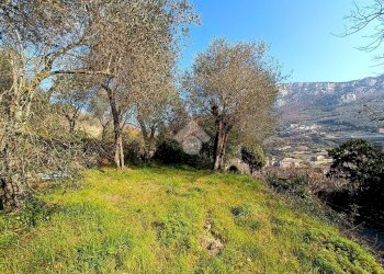Terreno agricolo Terreno Via Valgelata, Finale Ligure - foto 13