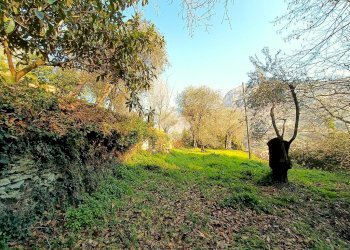 Terreno agricolo Terreno Via Valgelata, Finale Ligure - foto 14