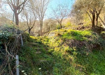 Terreno agricolo Terreno Via Valgelata, Finale Ligure - foto 15