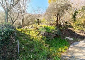 Terreno agricolo Terreno Via Valgelata, Finale Ligure - foto 16