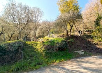 Terreno agricolo Terreno Via Valgelata, Finale Ligure - foto 17