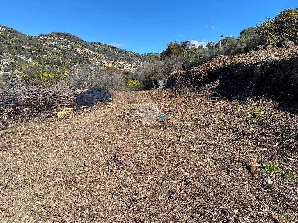 Terreno edificabile Str. Giambranca, Bordighera - foto 2