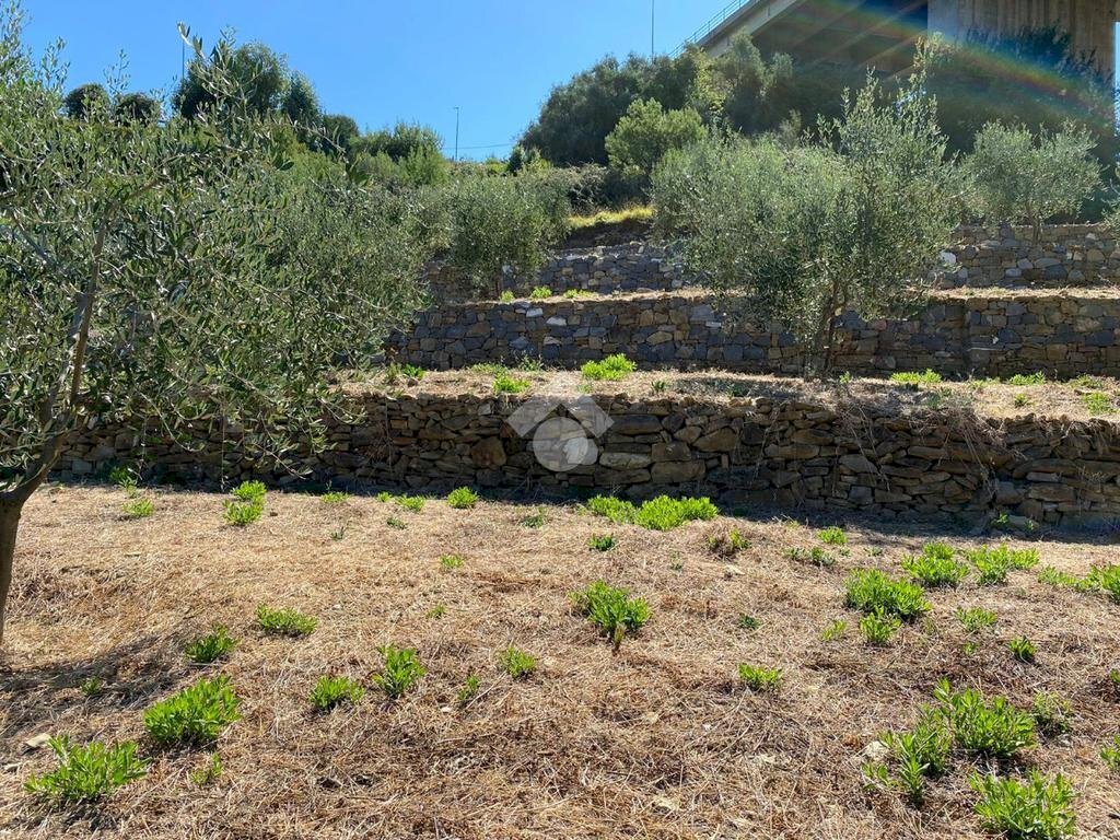 Terreno edificabile strada ciotti, Bordighera - foto 2