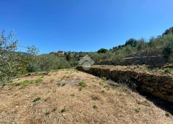 Terreno edificabile strada ciotti, Bordighera - foto 1