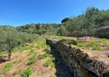Terreno edificabile strada ciotti, Bordighera - foto 3