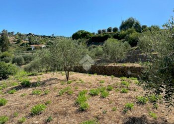 Terreno edificabile strada ciotti, Bordighera - foto 5