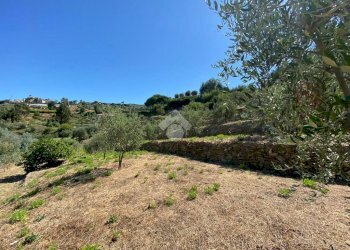 Terreno edificabile strada ciotti, Bordighera - foto 6