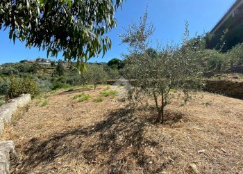 Terreno edificabile strada ciotti, Bordighera - foto 9