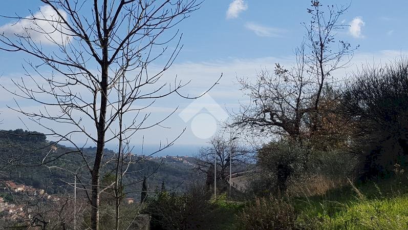 Terreno edificabile Strada provinciale 37, Diano Arentino - foto 1