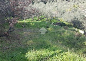 Terreno edificabile Strada provinciale 37, Diano Arentino - foto 9