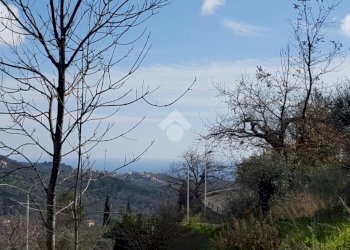 Terreno edificabile Strada provinciale 37, Diano Arentino - foto 10