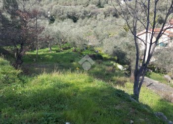 Terreno edificabile Strada provinciale 37, Diano Arentino - foto 13