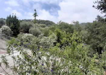 Casa semi indipendente strada villatalla, Diano Arentino - foto 19