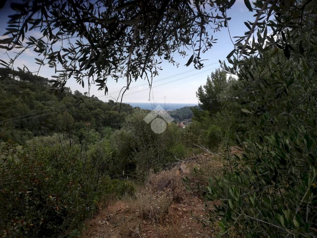 Building land Via Richieri, San Bartolomeo al Mare - photo 2