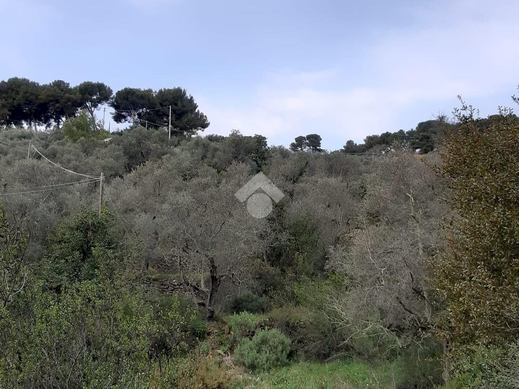 Building land Via Richieri, San Bartolomeo al Mare - photo 3