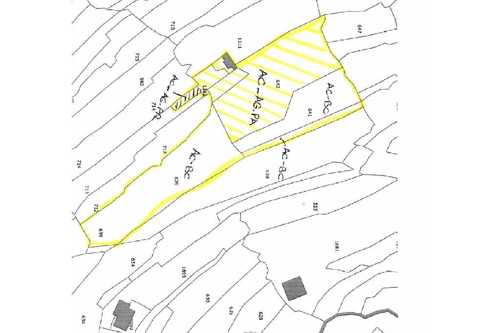 Building land Via Richieri, San Bartolomeo al Mare - floor plans 1