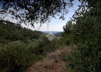 Terreno edificabile Via Richieri, San Bartolomeo al Mare - foto 2