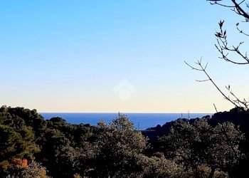 Terreno edificabile Via Richieri, San Bartolomeo al Mare - foto 9