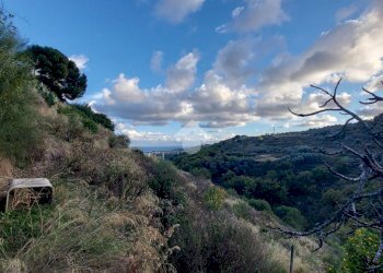 Building land Regione Avreghi, Cipressa - photo 34