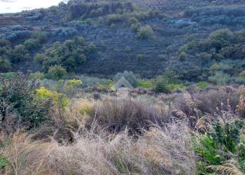 Building land Regione Avreghi, Cipressa - photo 41
