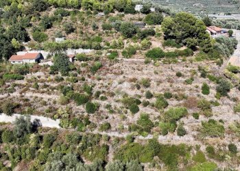 Building land Regione Avreghi, Cipressa - photo 14