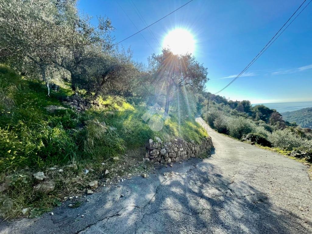 Agricultural land Via Duca degli Abruzzi, Sanremo - photo 1
