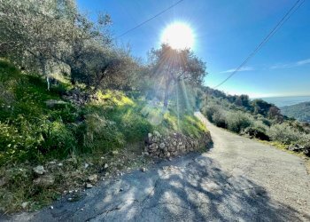 Agricultural land Via Duca degli Abruzzi, Sanremo - photo 1
