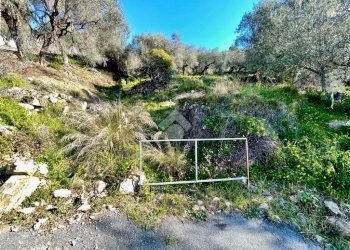 Agricultural land Via Duca degli Abruzzi, Sanremo - photo 6