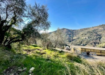 Agricultural land Via Duca degli Abruzzi, Sanremo - photo 8