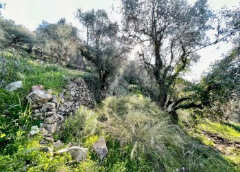 Agricultural land Via Duca degli Abruzzi, Sanremo - photo 10