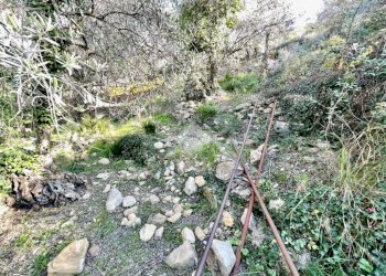 Agricultural land Via Duca degli Abruzzi, Sanremo - photo 14