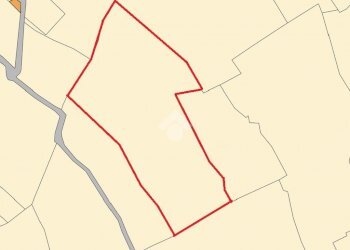 Agricultural land Via Duca degli Abruzzi, Sanremo - photo 18