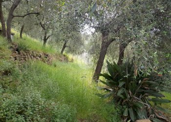 Casa indipendente via Ortopino, Diano Marina - foto 21