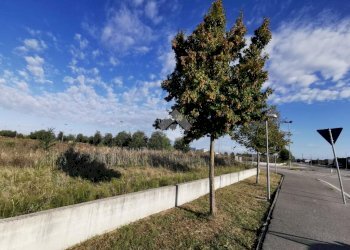 Building land Via Anna Magnani, Malalbergo - photo 2