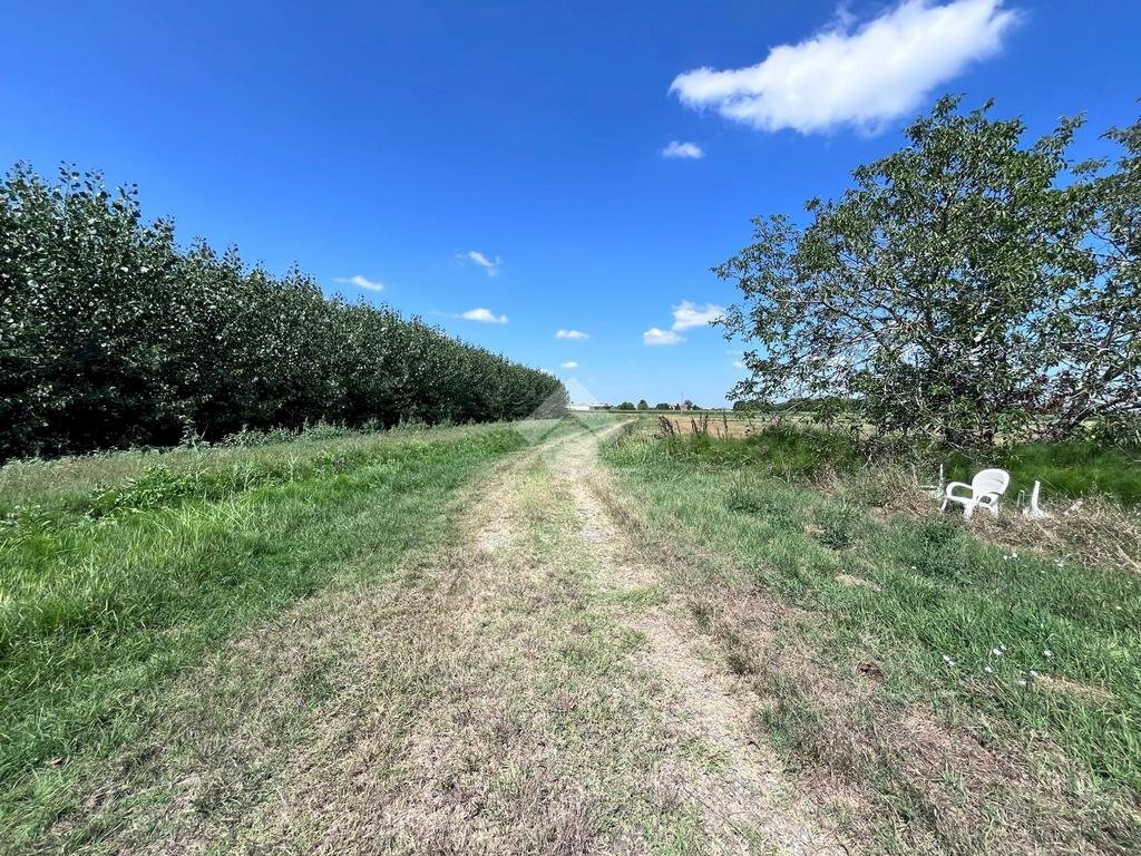 Rustico Via Guglielmo Marconi, Malalbergo - foto 3